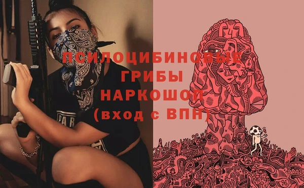 СК Лиски