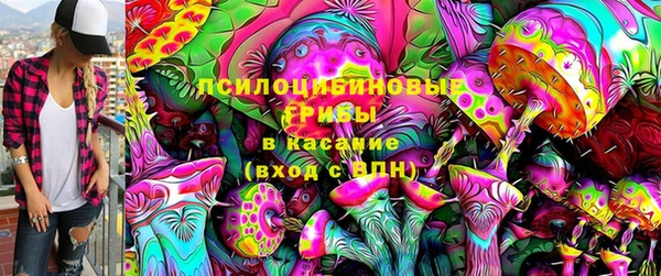 СК Лиски