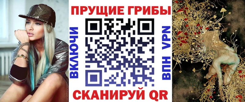 закладка  Новокузнецк  Галлюциногенные грибы Psilocybe 